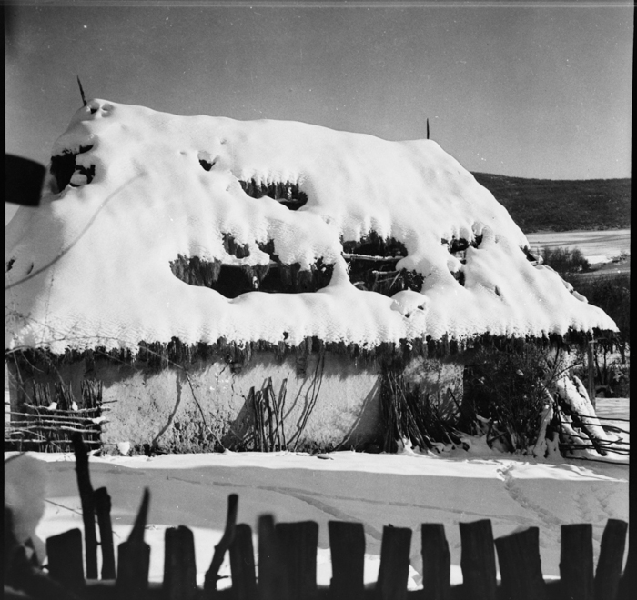 minerva_deak_f_c2_diverse-046