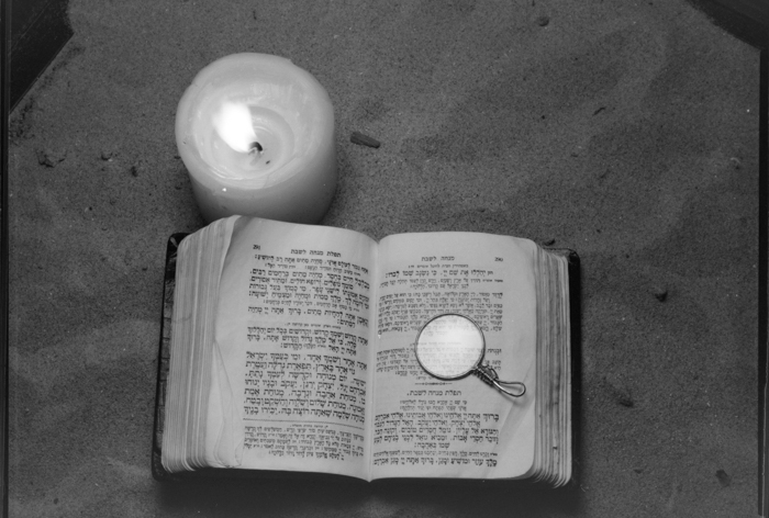 minerva_deak_f_c2_diverse-053