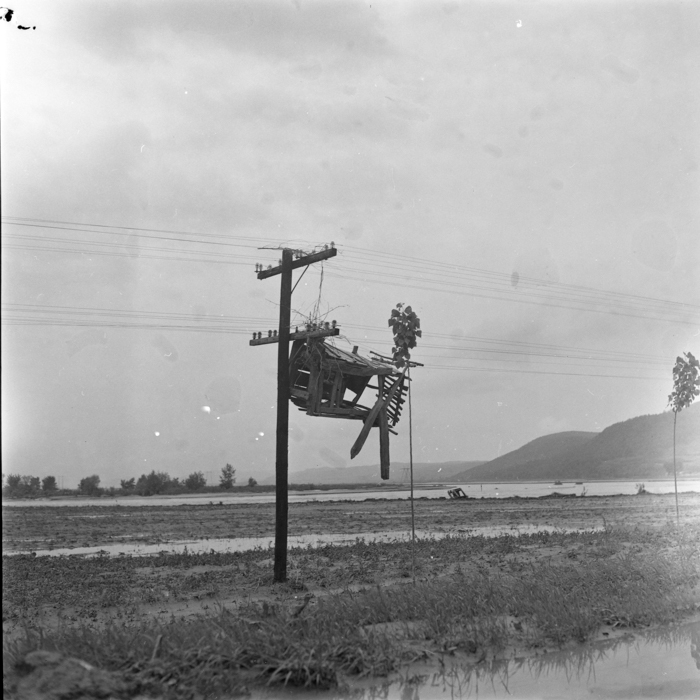 minerva_deak_f_c2_diverse-060