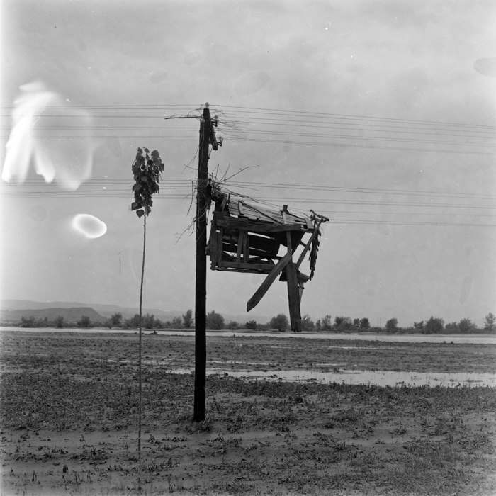 minerva_deak_f_c2_diverse-061