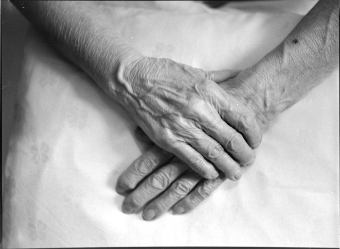 minerva_deak_f_c2_diverse-069