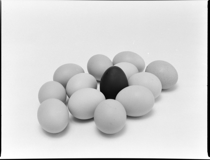 minerva_deak_f_c2_diverse-070