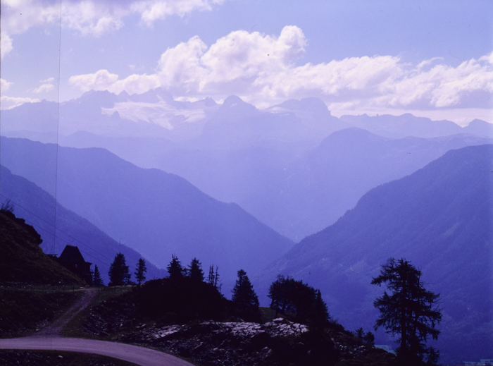 minerva_deak_f_c2_diverse-072