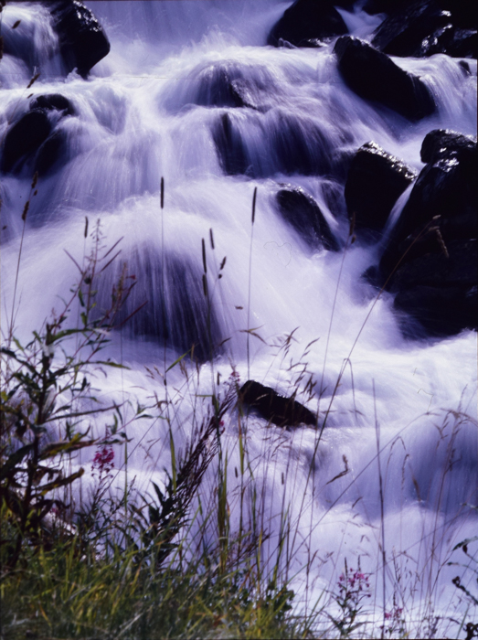 minerva_deak_f_c2_diverse-074