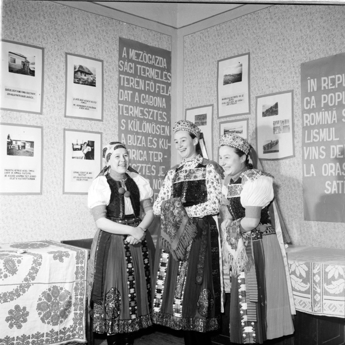 minerva_deak_f_c2_diverse-081