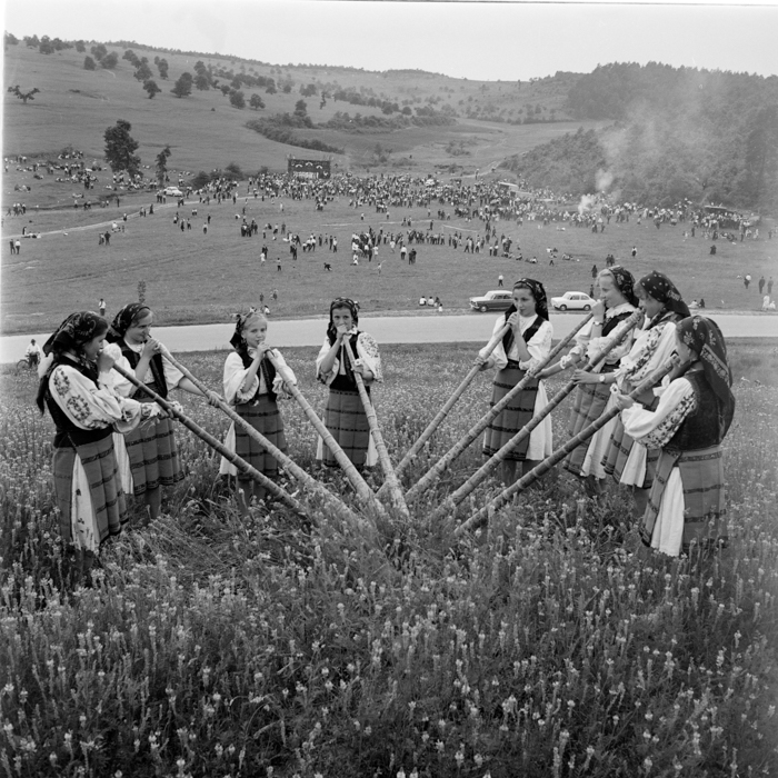 minerva_deak_f_c2_diverse-082