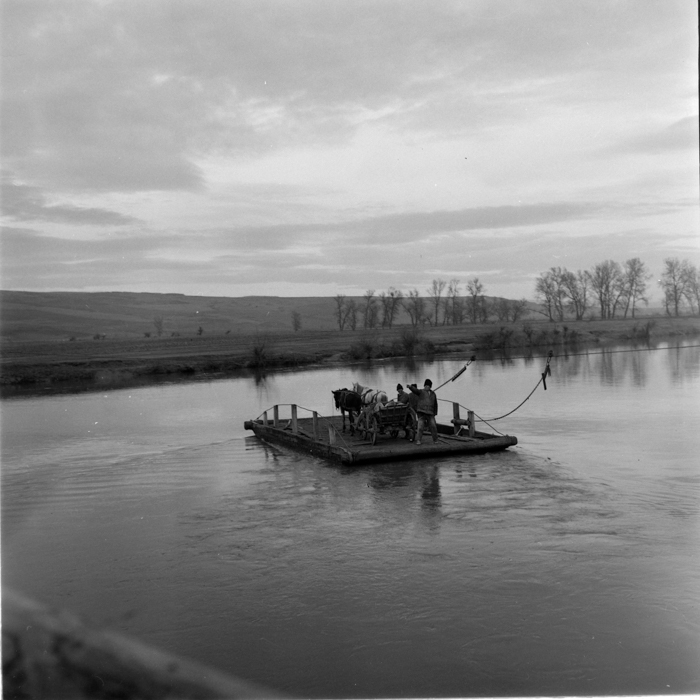 minerva_deak_f_c2_diverse-098