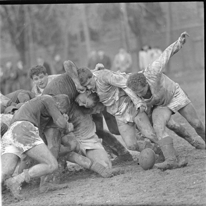 minerva_deak_f_c2_diverse-102