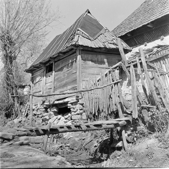 minerva_deak_f_c2_diverse-111