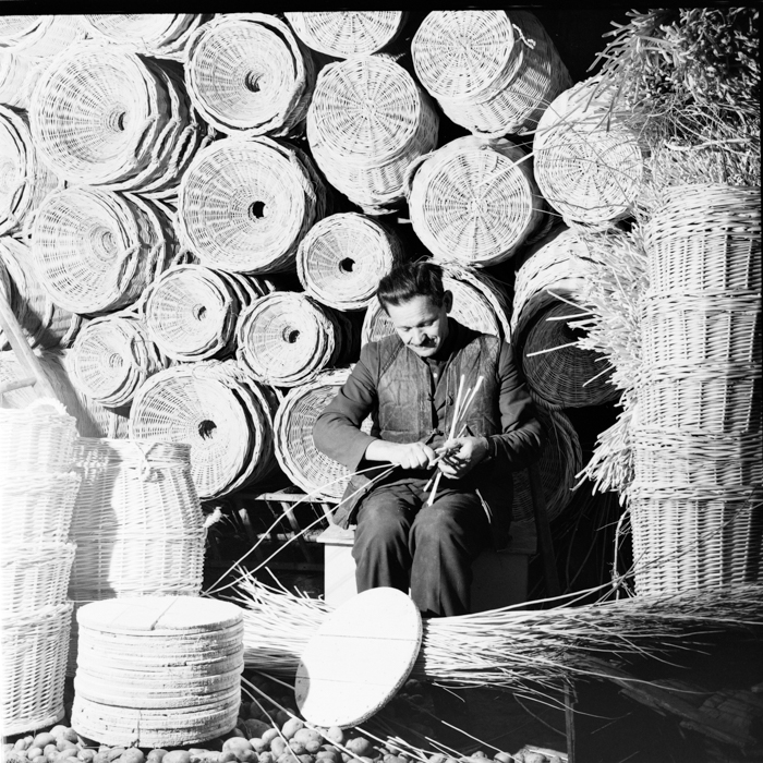 minerva_deak_f_c2_diverse-119