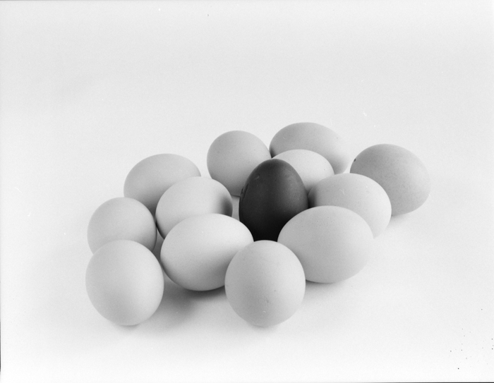 minerva_deak_f_c2_diverse-121