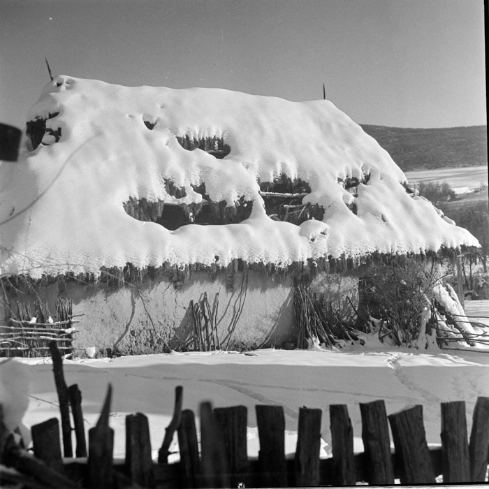 minerva_deak_f_c2_diverse-129