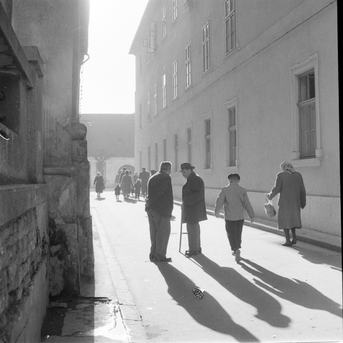 minerva_deak_f_c2_diverse-134