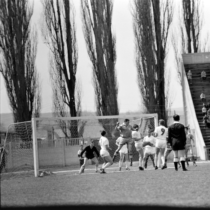 minerva_deak_f_c2_sport-011