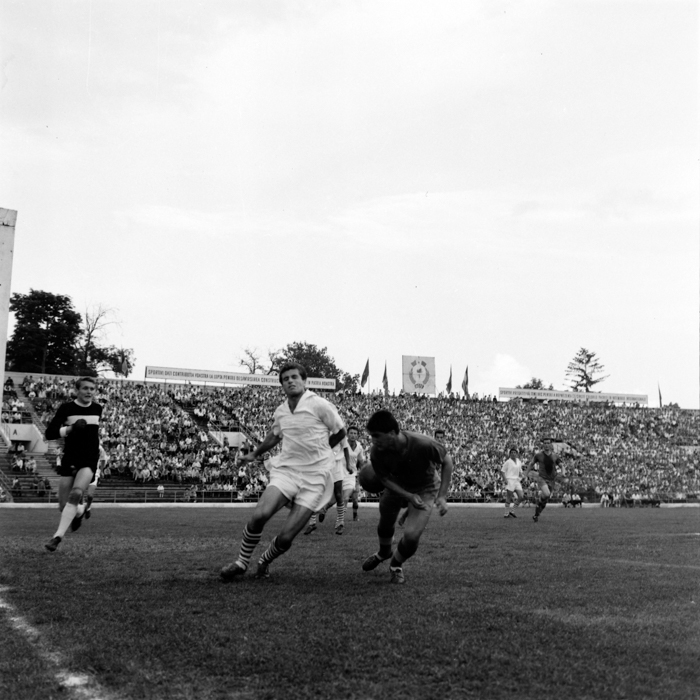 minerva_deak_f_c2_sport-017