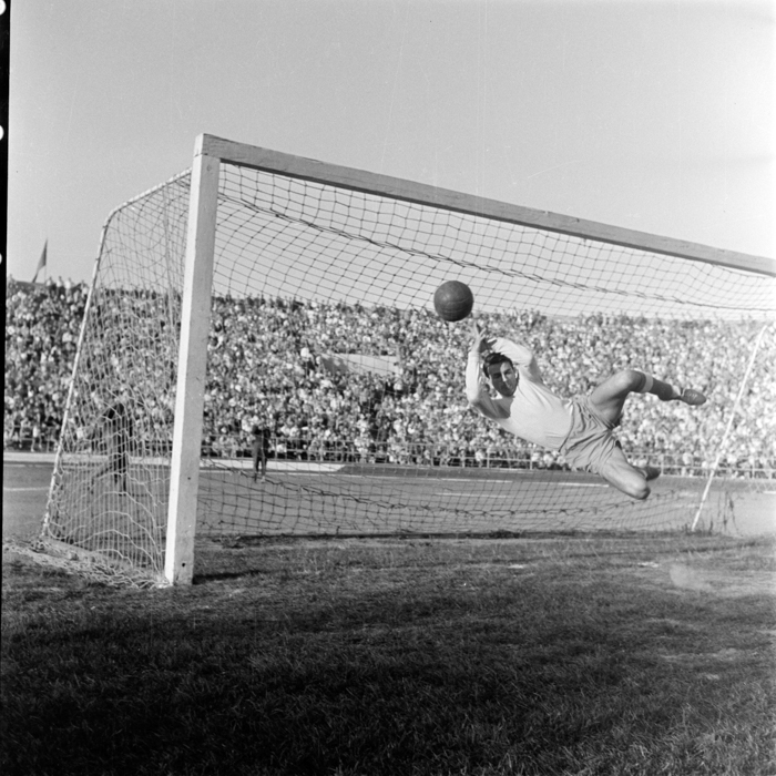 minerva_deak_f_c2_sport-020