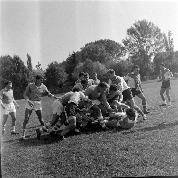 minerva_deak_f_c2_sport-055