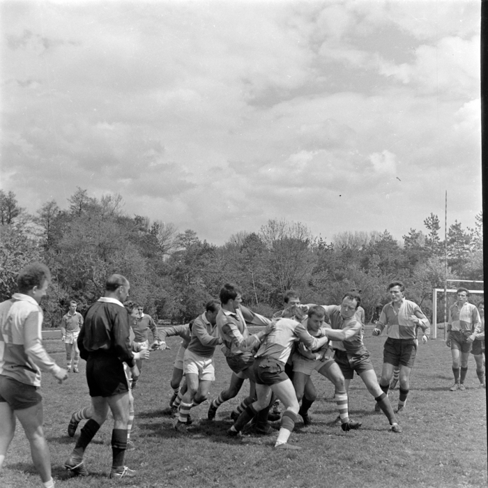 minerva_deak_f_c2_sport-056