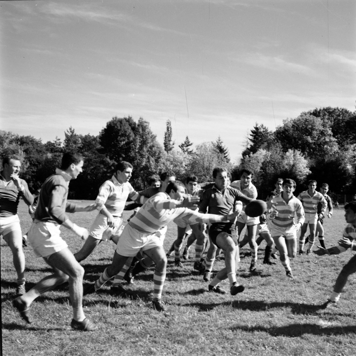 minerva_deak_f_c2_sport-086