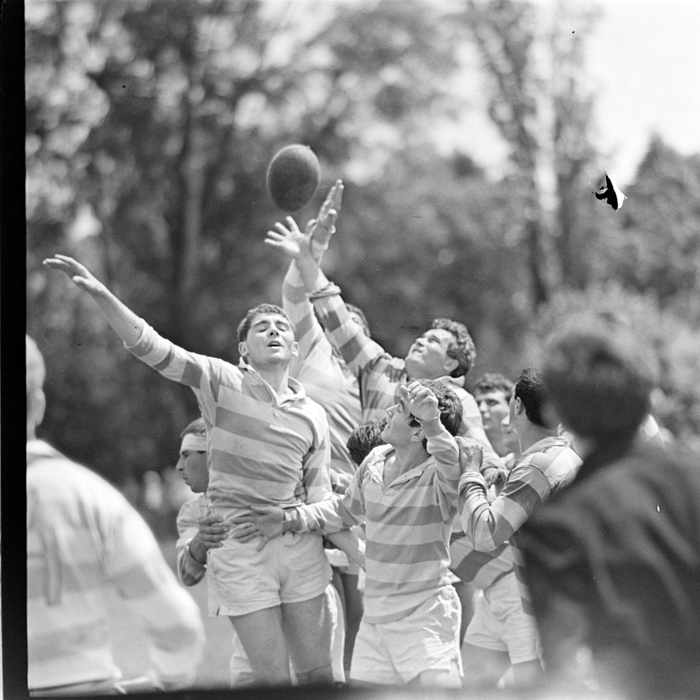 minerva_deak_f_c2_sport-089