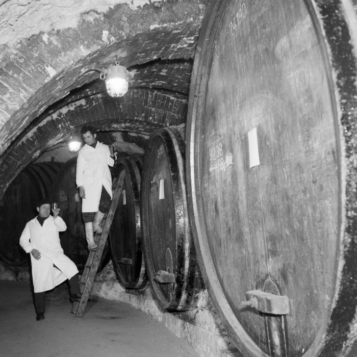 minerva_deak_f_c2_város-111