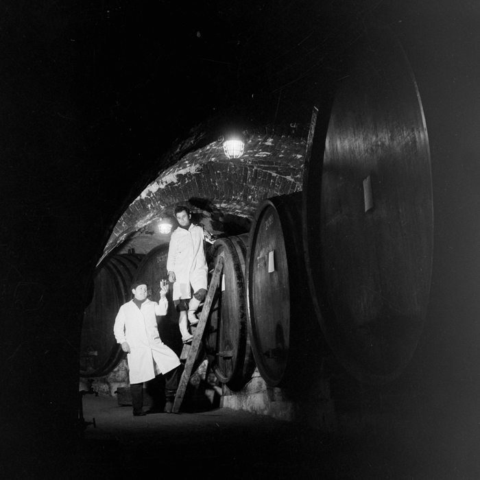 minerva_deak_f_c2_város-112