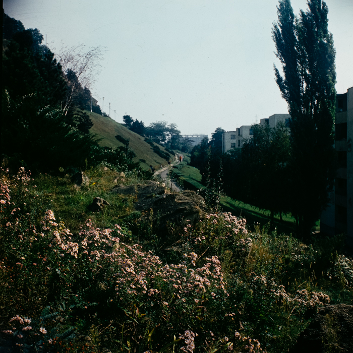 minerva_deak_f_c2_város-133