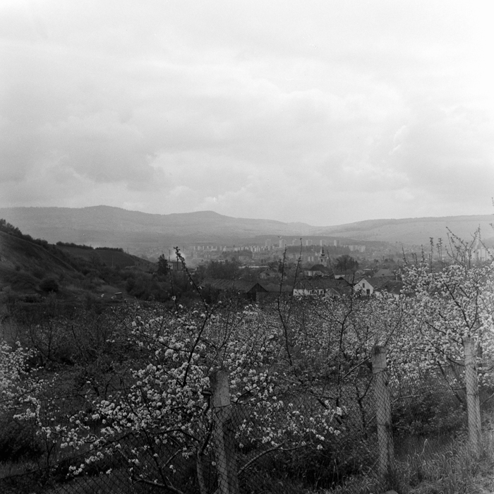 minerva_deak_f_c2_város-176