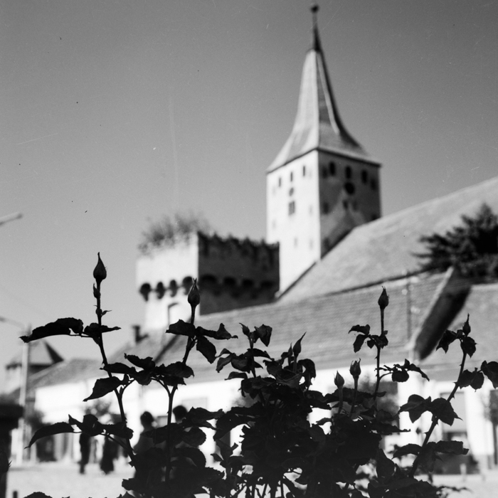 minerva_deak_f_c2_város-227