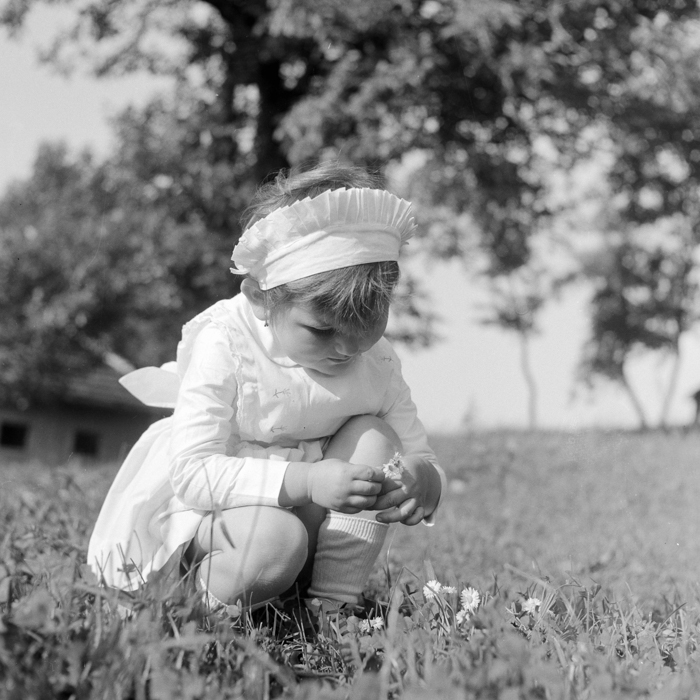 minerva_deak_f_c2_város-312