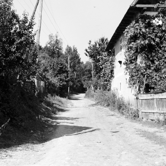 minerva_deak_f_c2_város-343