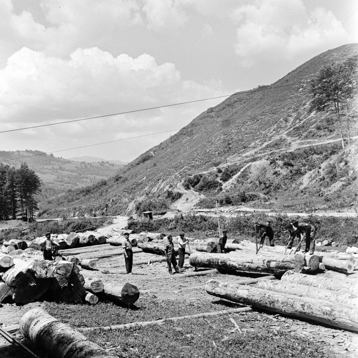 minerva_deak_f_c2_város-351