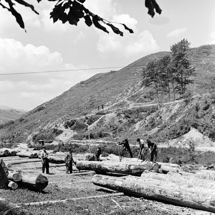 minerva_deak_f_c2_város-352