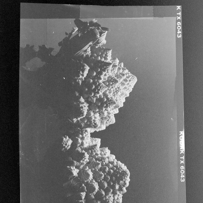 minerva_deak_f_c2_város-358