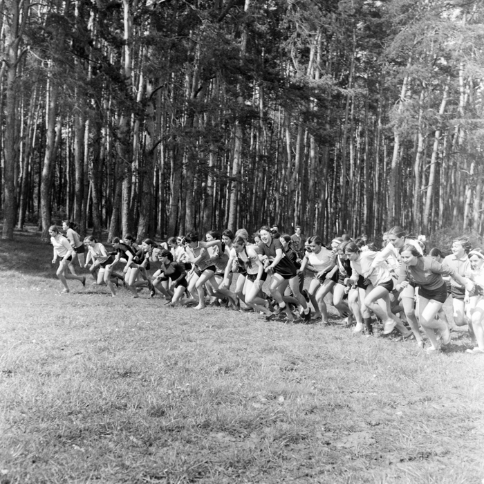 minerva_deak_f_c2_város-69