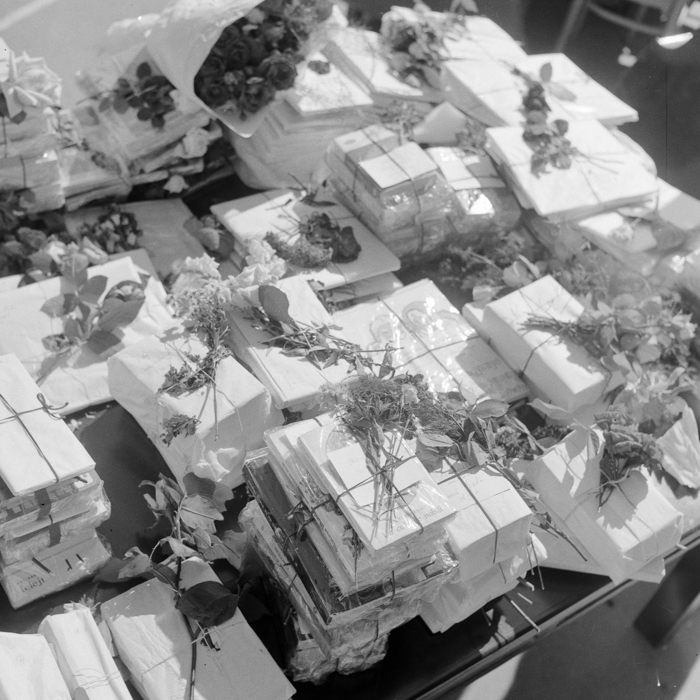 minerva_deak_f_c2_város-70