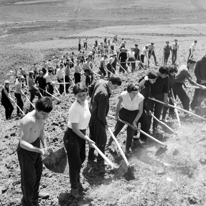 minerva_deak_f_c2_város-99