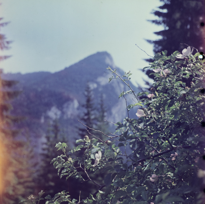 minerva_deak_f_c3_s1_11_erdély-009