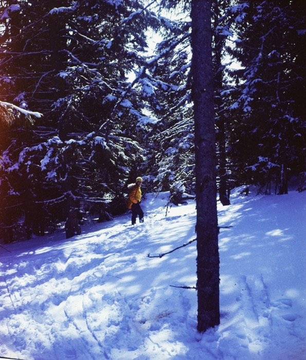 minerva_deak_f_c3_s1_12_erdély-009