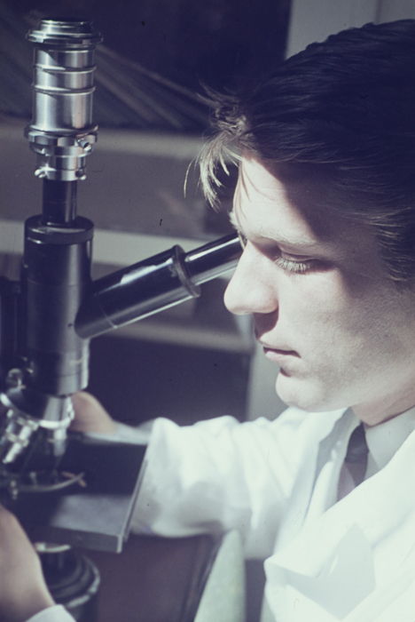 minerva_deak_f_c3_s1_13_stb-026