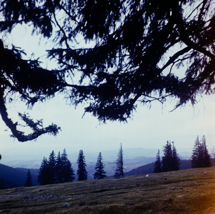 minerva_deak_f_c3_s1_16_erdély-006