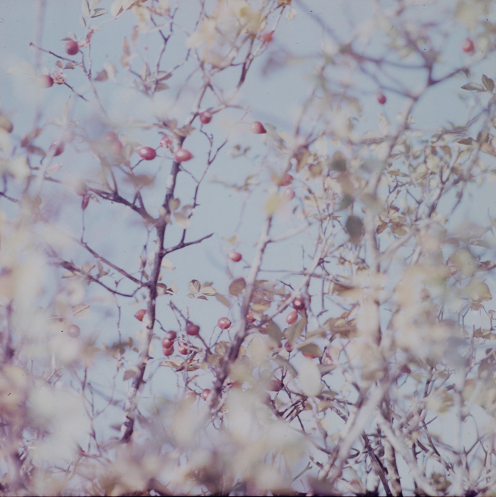 minerva_deak_f_c3_s1_18_erdély-007