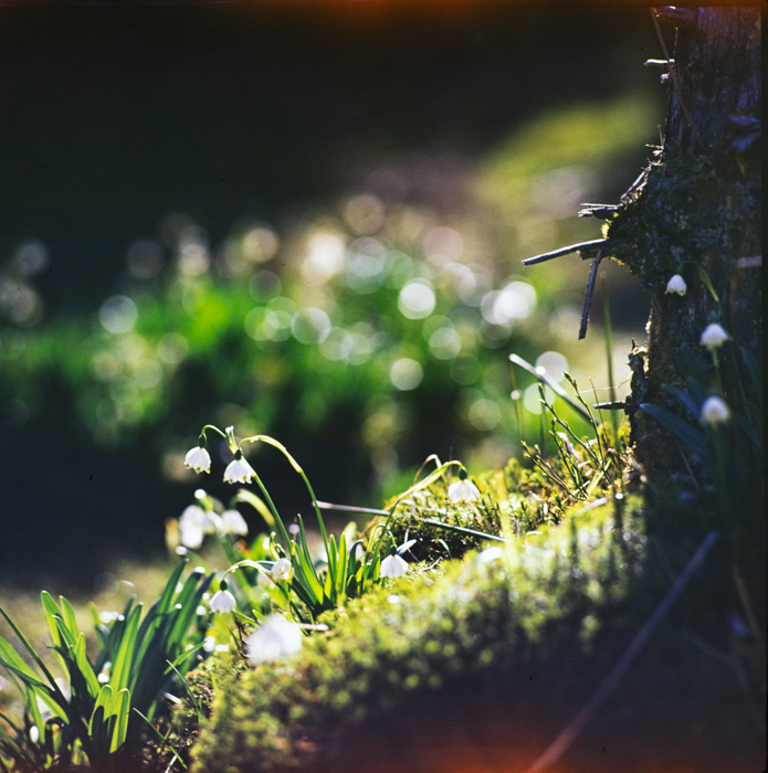 minerva_deak_f_c3_s1_19_erdély-002