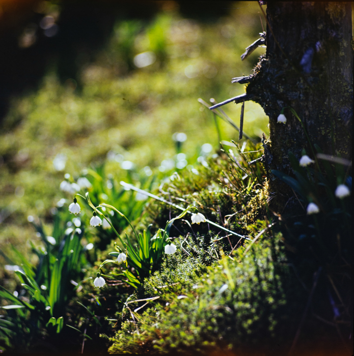 minerva_deak_f_c3_s1_19_erdély-003