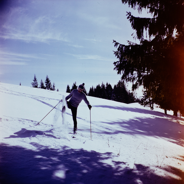 minerva_deak_f_c3_s1_22_bucegi-009