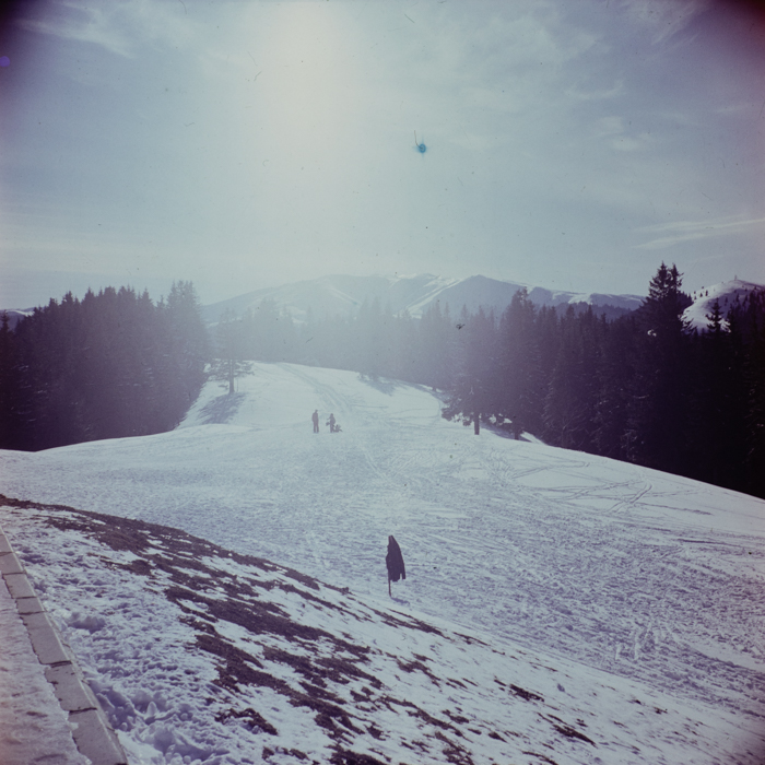 minerva_deak_f_c3_s1_22_bucegi-010