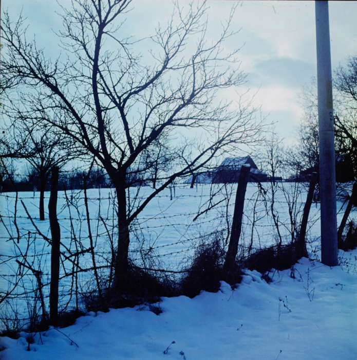 minerva_deak_f_c3_s1_3_kolozsvár-020