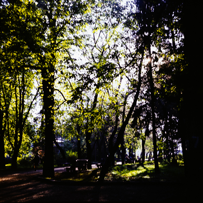 minerva_deak_f_c3_s1_4_romania-005