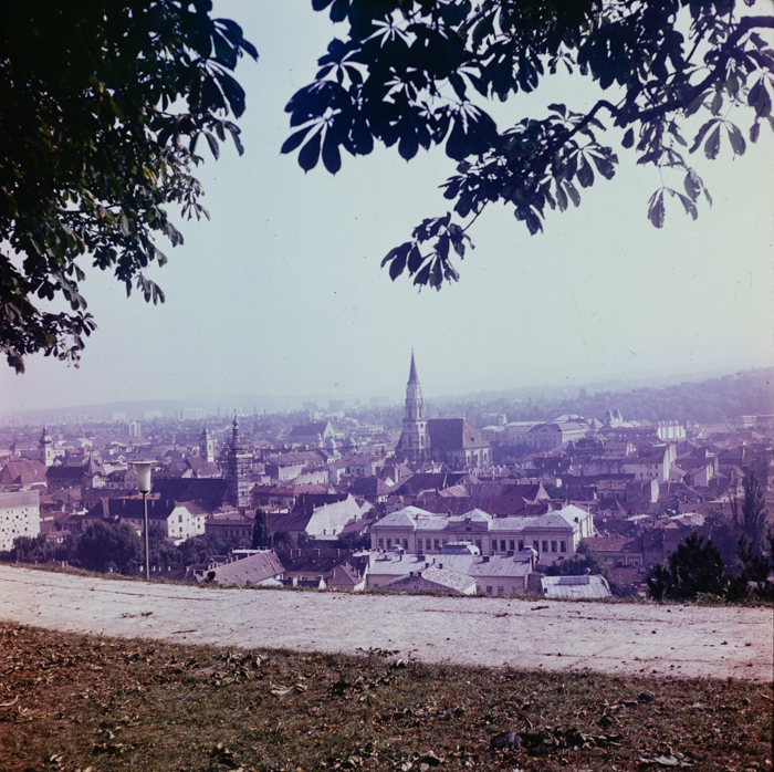 minerva_deak_f_c3_s1_5_romania-001