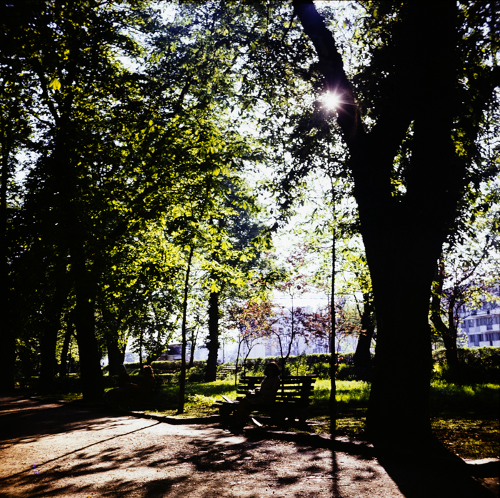 minerva_deak_f_c3_s1_5_romania-002